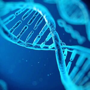 Τεστ DNA διατροφογενετικής